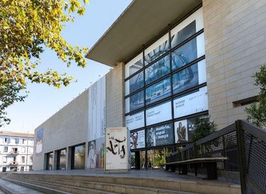 spain/valencia/attraction/art-modern-institute-museum-of-valencia