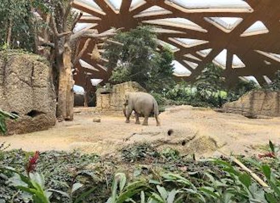 switzerland/lucerne/attraction/zoo-zurich