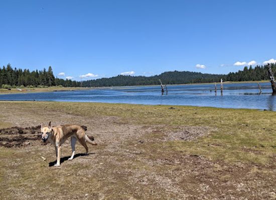 oregon/oregon-coast/attraction/cascade-siskiyou-national-monument