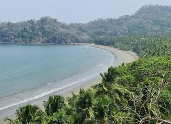 costa-rica/jaco/attraction/curu-wildlife-refuge