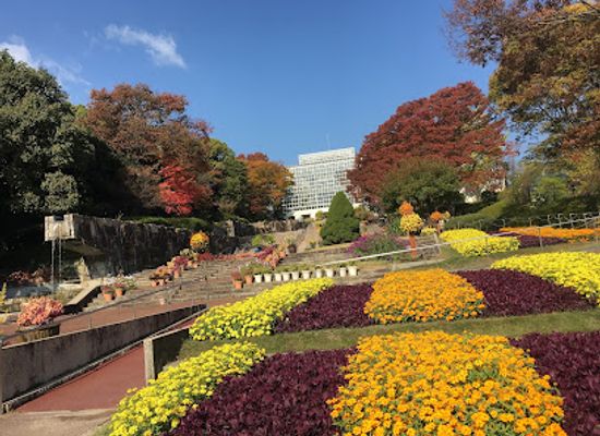 japan/hiroshima/shukkeien-garden/attraction/hiroshima-botanical-garden