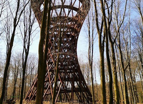 denmark/the-north-sea-islands/attraction/skovtarnet-forest-tower