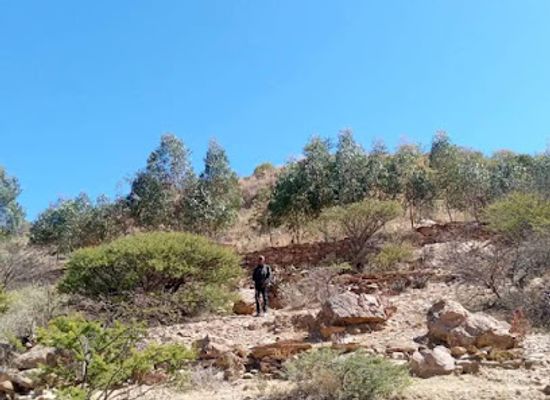 eritrea/northern-red-sea-region/attraction/wedi-mehari-park