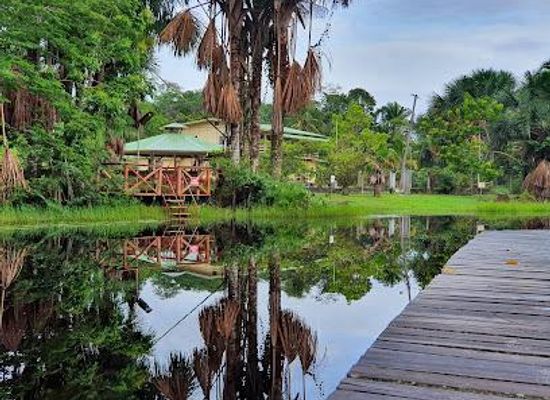 suriname/lelydorp/attraction/colakreek