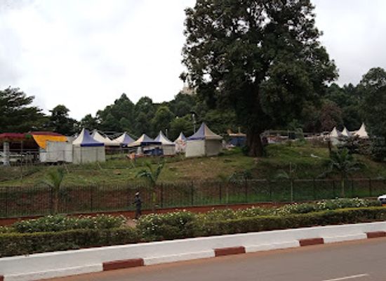 cameroon/yaounde/odza/attraction/maneges-de-ya-fe