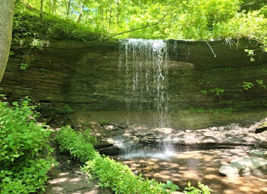 tennessee/buffalo-river-valley/attraction/fall-hollow-falls