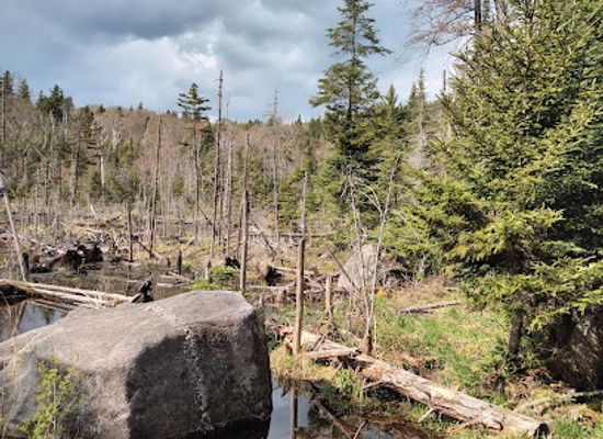 vermont/washington-county/attraction/spruce-mountain-summit-viewpoint