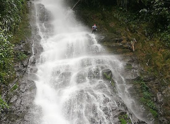 ecuador/northern-sierra/attraction/reserva-rio-bravo-mindo
