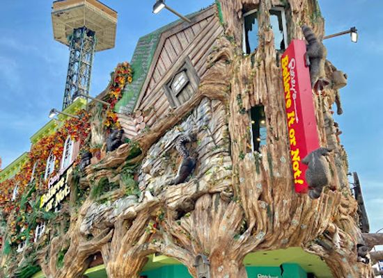 tennessee/gatlinburg/attraction/ripley-s-believe-it-or-not