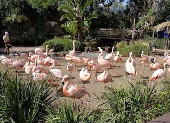 california/santa-barbara/attraction/santa-barbara-zoo