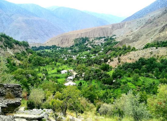 pakistan/chitral/attraction/domoon-valley