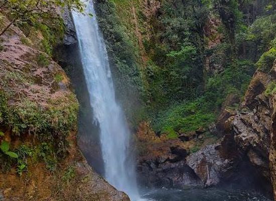panama/atlantic-coast/attraction/gran-tife-waterfall-omar-torrijos-national-park