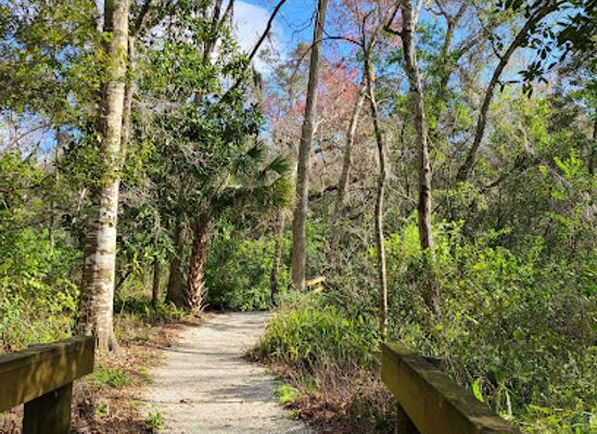 florida/nature-coast/attraction/moccasin-lake-nature-park