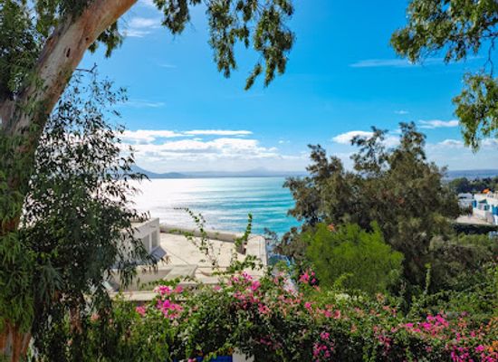 tunisia/tunis/sidi-bou-said/attraction/sidi-bou-said