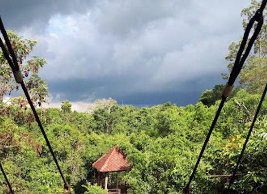 thailand/trang-archipelago/attraction/thung-khai-botanic-garden-also-signed-peninsula-botanic-garden