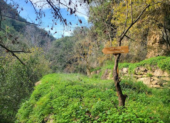lebanon/chouf/attraction/chaaya-falls