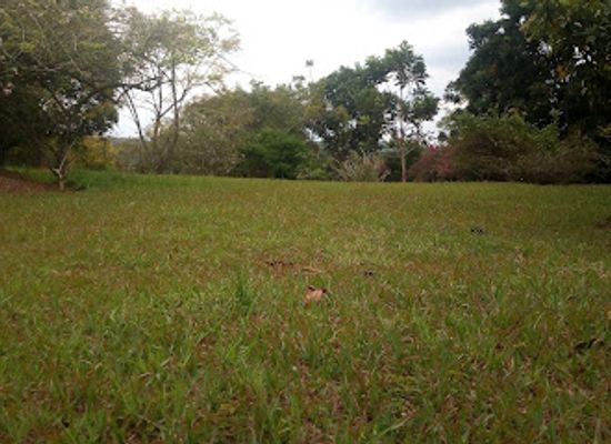 uganda/masaka/attraction/park