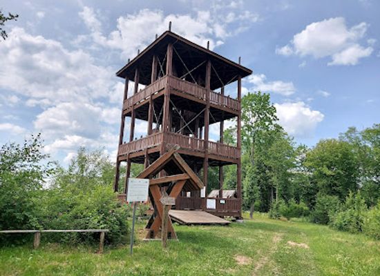 poland/podlachia/attraction/wieza-widokowa-na-gorze-sw-anny