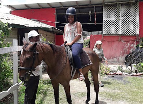 barbados/saint-philip/attraction/ride-barbados