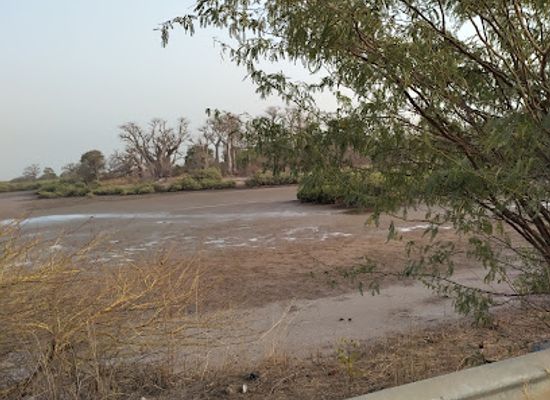 senegal/joal-fadiouth/attraction/fassanda