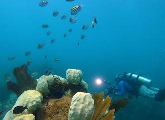 florida/southeast-florida/attraction/looe-key