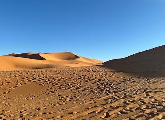 morocco/marrakech/attraction/marrakesh-travel-services