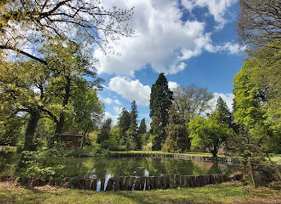 hungary/szombathely/attraction/kamoni-arboretum