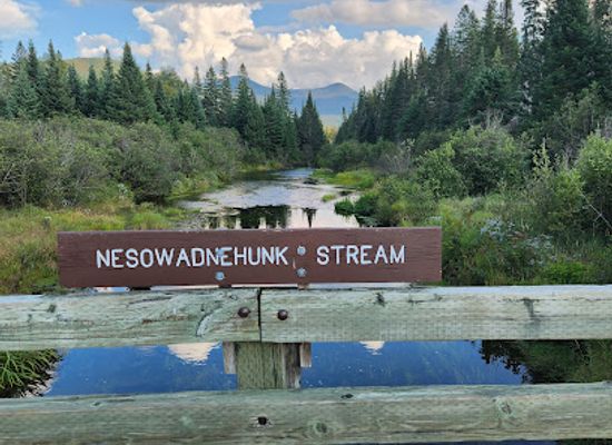 maine/mount-katahdin/attraction/nesowadnehunk-field-campground