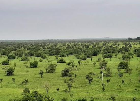 ghana/koforidua/attraction/shai-hills-resource-reserve