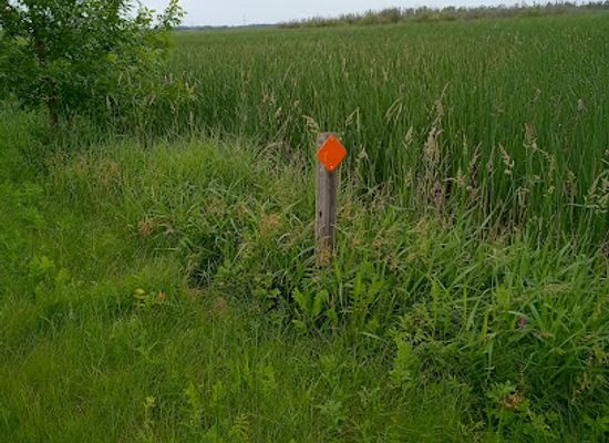 wisconsin/eastern-ridges-and-lowlands/attraction/mascoutin-valley-state-park-trail