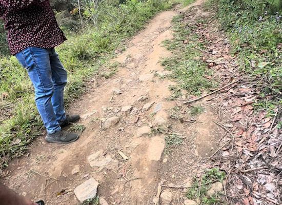 tanzania/mikumi-national-park/attraction/selous-marathon-kwa-babu