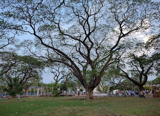 colombia/cesar-department/attraction/algarrobillos-park