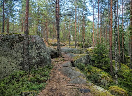 finland/karhunkierros-trail/attraction/kaarniaispolku