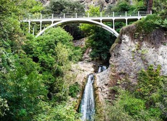 georgia/tbilisi/attraction/national-botanical-garden