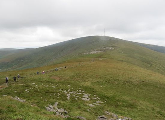 ireland/leinster/attraction/mount-leinster