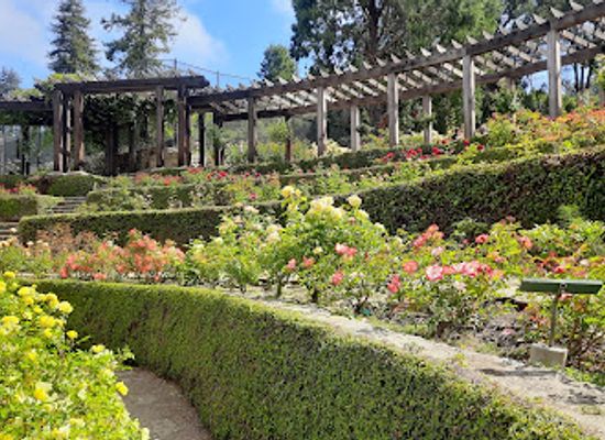 california/east-bay/attraction/berkeley-rose-garden