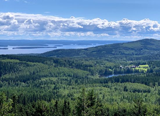 finland/north-karelia/attraction/rasavaara-observation-tower