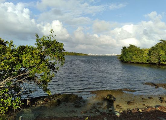 puerto-rico/culebra/attraction/bahia-viva-catano