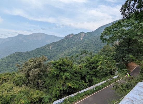 india/tamil-nadu/attraction/tree-view-point