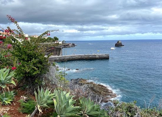 portugal/madeira/attraction/jardim-panoramico