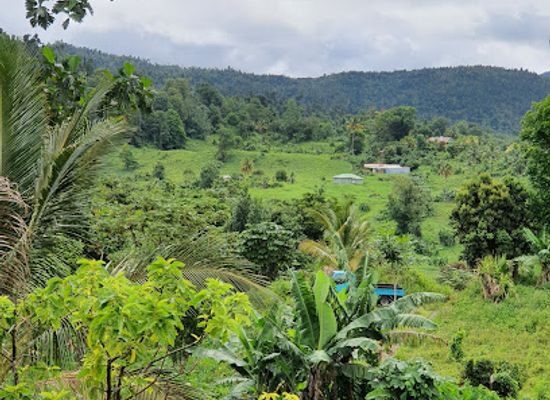dominica/indian-river/attraction/good-life-midway-retreat
