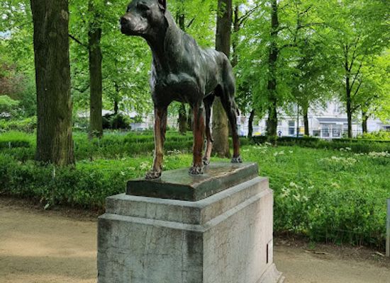 belgium/duchy-of-limburg/attraction/le-dogue-d-ulm