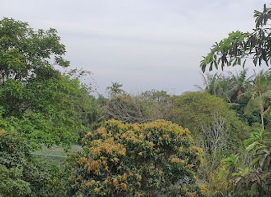 cambodia/kep/attraction/kep-butterfly-garden