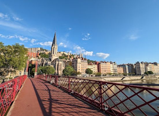 france/lyon/vieux-lyon/attraction/le-tronc-de-lyon