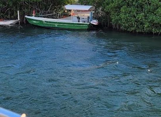 puerto-rico/guanica/attraction/la-parguera