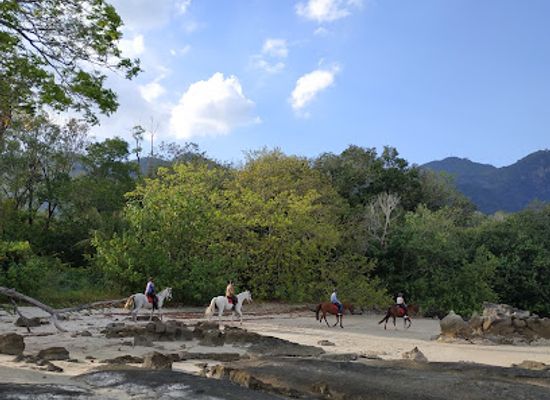 malaysia/kedah/attraction/teluk-burau