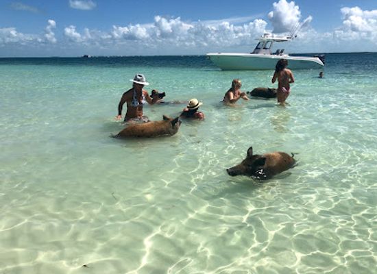 the-bahamas/abaco-islands/attraction/no-name-cay