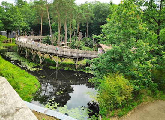 netherlands/veluwe/attraction/apenheul
