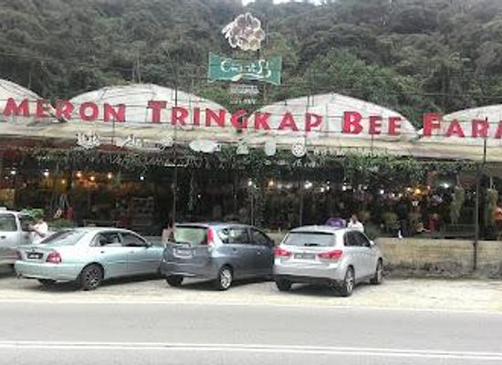malaysia/ipoh/attraction/cameron-tringkap-bee-farm