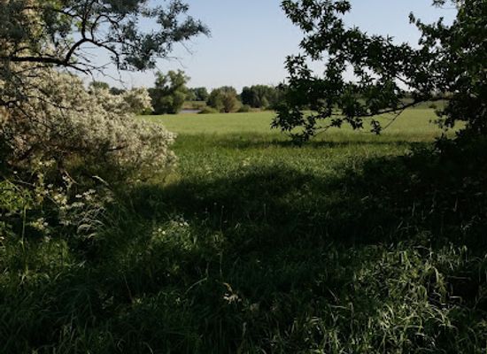 germany/anhalt/attraction/gerlebogker-teiche